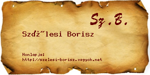 Szélesi Borisz névjegykártya